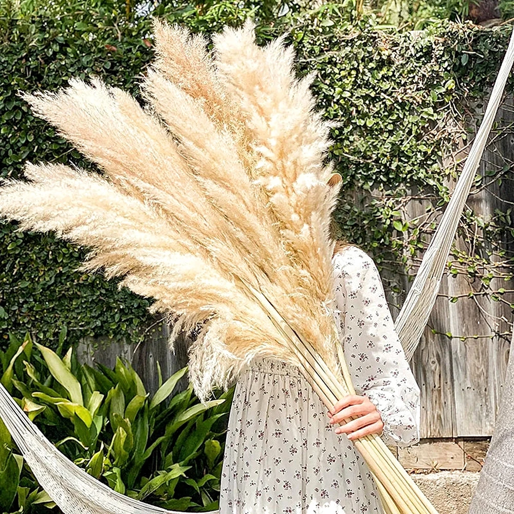 Pampas Grass Decor - 110-120 см большой сушеный шлейф из
