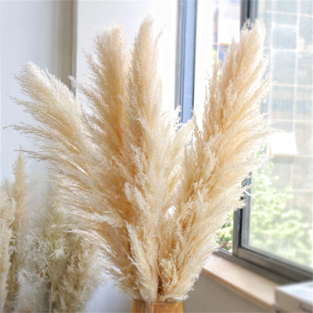 110-120 см большой сушеный шле – обзор и цена Pampas Grass Decor