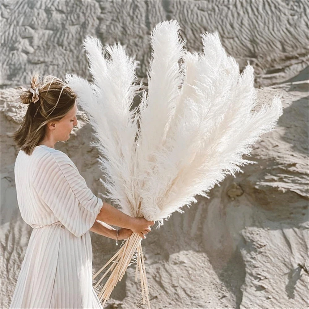 110-120 см большой сушеный шле – обзор и цена Pampas Grass Decor