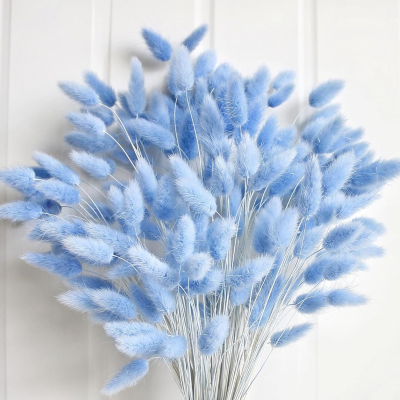 100 шт. синий хвост зайца трав – обзор и цена Pampas Grass Decor